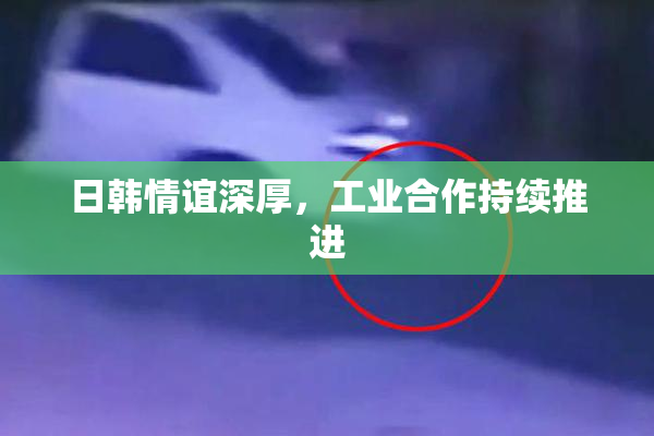 日韩情谊深厚，工业合作持续推进