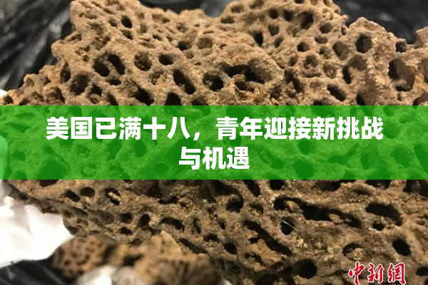 美国已满十八，青年迎接新挑战与机遇