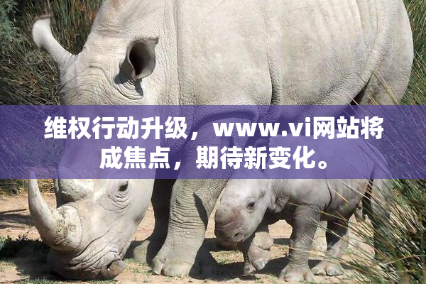 维权行动升级，www.vi网站将成焦点，期待新变化。