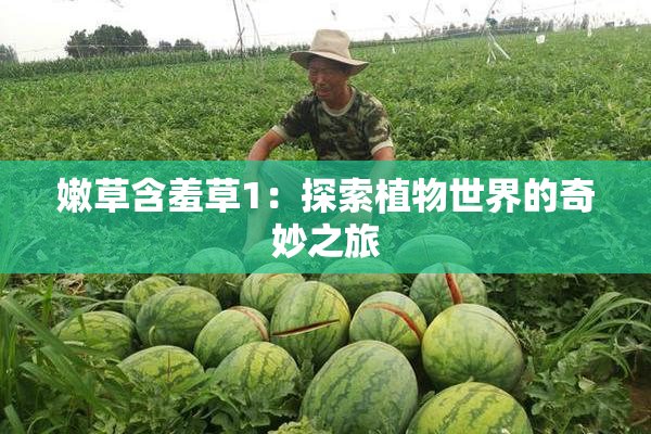 嫩草含羞草1：探索植物世界的奇妙之旅