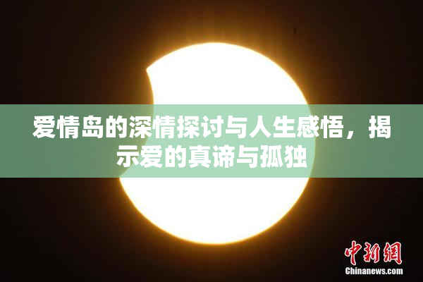 爱情岛的深情探讨与人生感悟，揭示爱的真谛与孤独