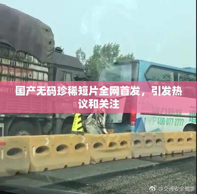 国产无码珍稀短片全网首发，引发热议和关注