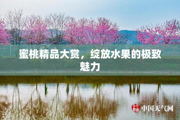 蜜桃精品大赏，绽放水果的极致魅力