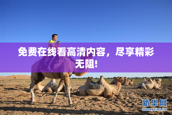免费在线看高清内容，尽享精彩无阻!