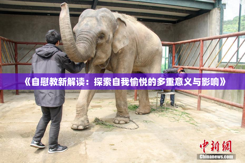《自慰教新解读：探索自我愉悦的多重意义与影响》