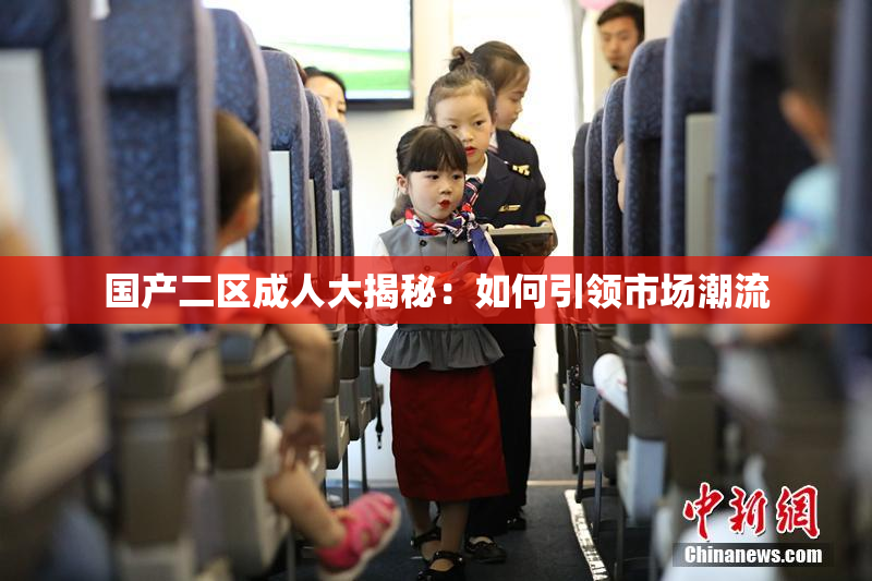 国产二区成人大揭秘：如何引领市场潮流