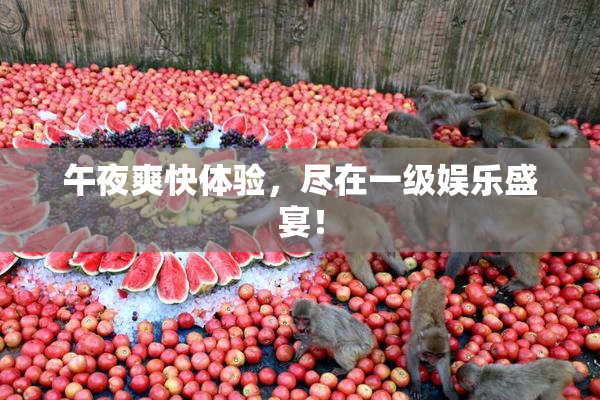 午夜爽快体验，尽在一级娱乐盛宴！