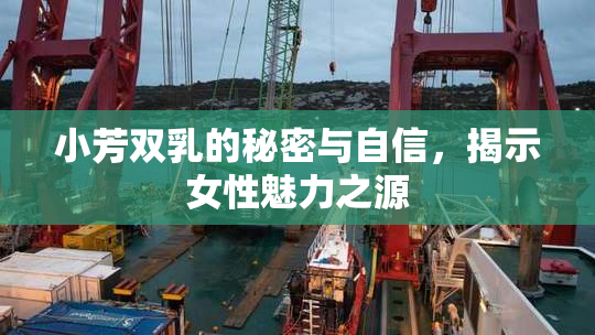 小芳双乳的秘密与自信，揭示女性魅力之源