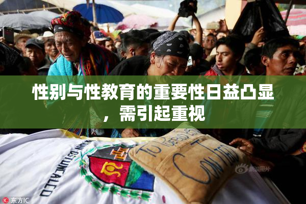 性别与性教育的重要性日益凸显，需引起重视