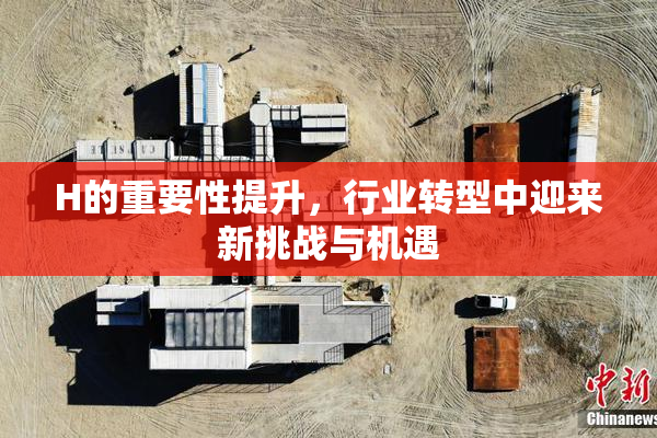H的重要性提升，行业转型中迎来新挑战与机遇