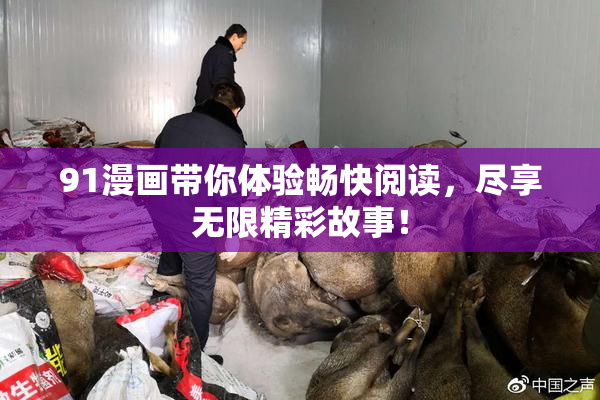 91漫画带你体验畅快阅读，尽享无限精彩故事！