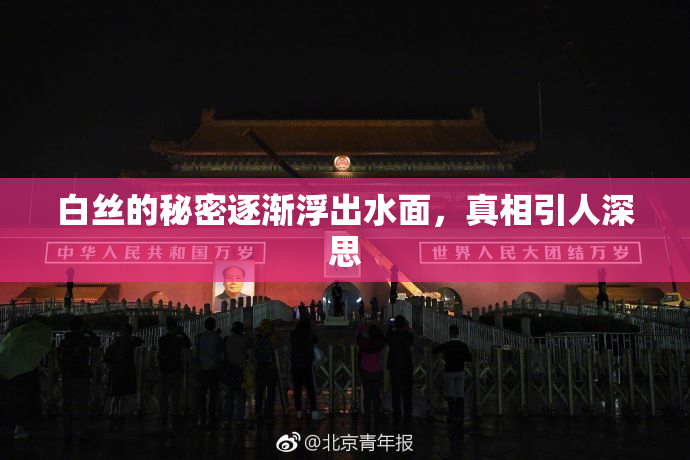 白丝的秘密逐渐浮出水面，真相引人深思