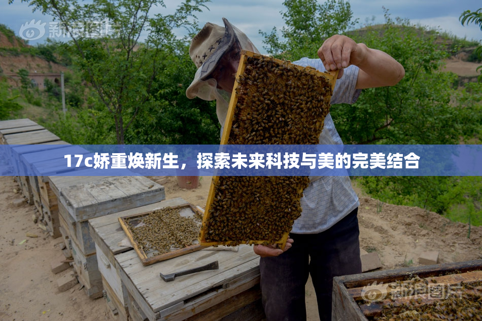 17c娇重焕新生，探索未来科技与美的完美结合