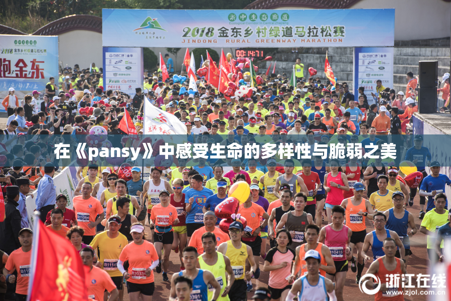 在《pansy》中感受生命的多样性与脆弱之美