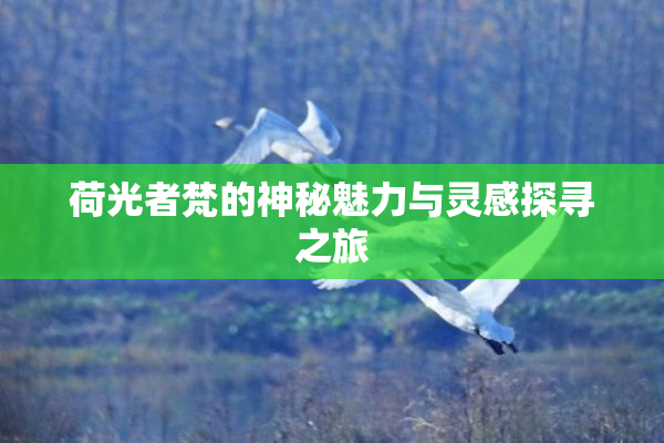 荷光者梵的神秘魅力与灵感探寻之旅
