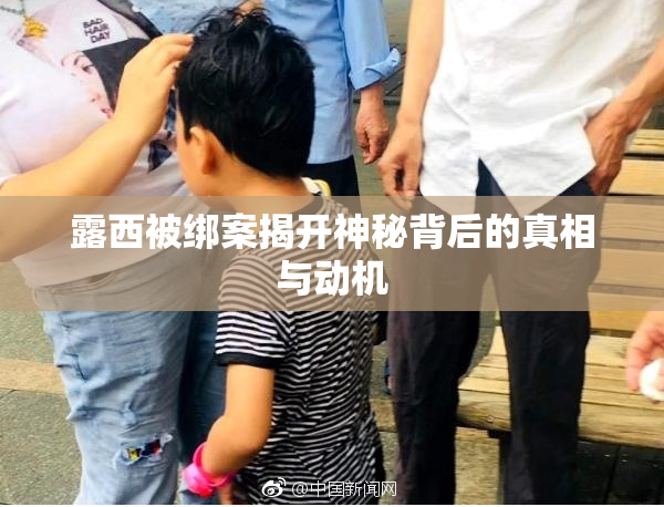 露西被绑案揭开神秘背后的真相与动机