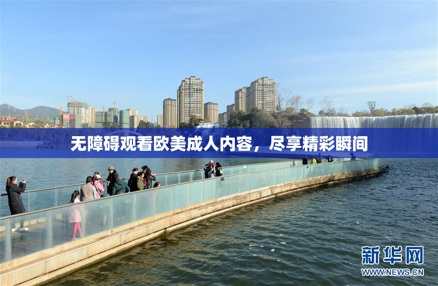 无障碍观看欧美成人内容，尽享精彩瞬间