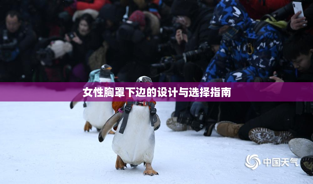 女性胸罩下边的设计与选择指南