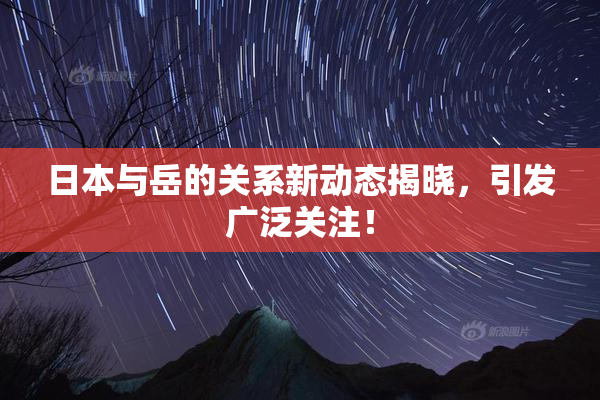 日本与岳的关系新动态揭晓，引发广泛关注！