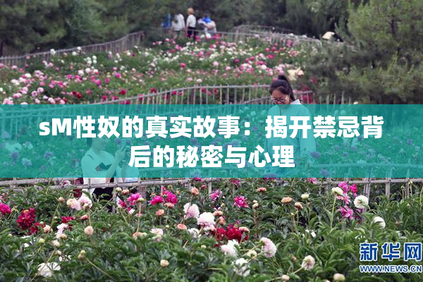 sM性奴的真实故事：揭开禁忌背后的秘密与心理