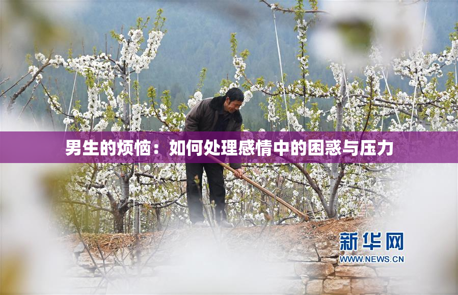 男生的烦恼：如何处理感情中的困惑与压力