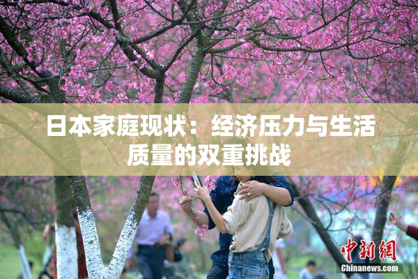 日本家庭现状：经济压力与生活质量的双重挑战
