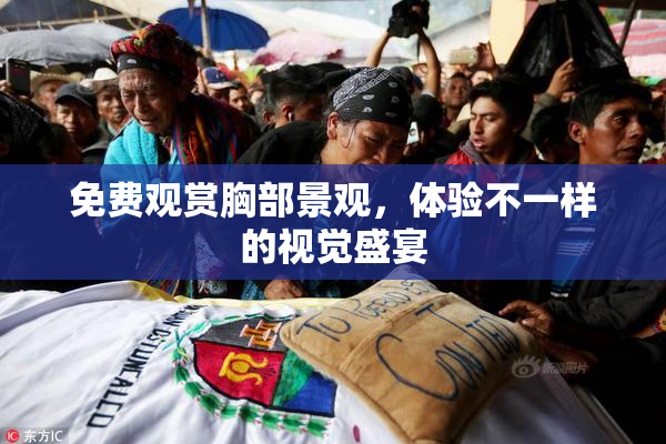 免费观赏胸部景观，体验不一样的视觉盛宴