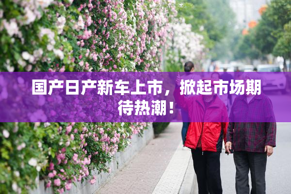 国产日产新车上市，掀起市场期待热潮！