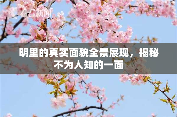明里的真实面貌全景展现，揭秘不为人知的一面