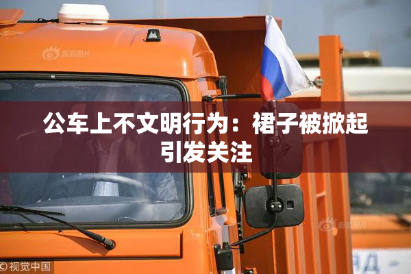 公车上不文明行为：裙子被掀起引发关注