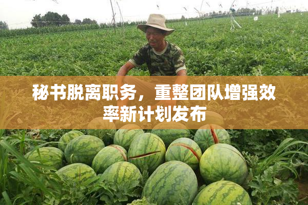 秘书脱离职务，重整团队增强效率新计划发布