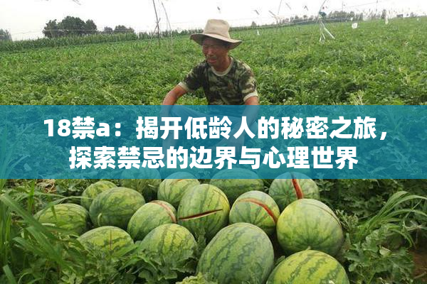 18禁a：揭开低龄人的秘密之旅，探索禁忌的边界与心理世界