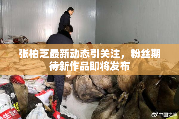 张柏芝最新动态引关注，粉丝期待新作品即将发布