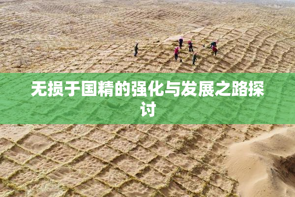 无损于国精的强化与发展之路探讨
