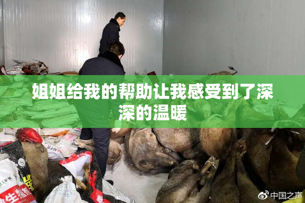 姐姐给我的帮助让我感受到了深深的温暖