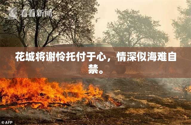 花城将谢怜托付于心，情深似海难自禁。