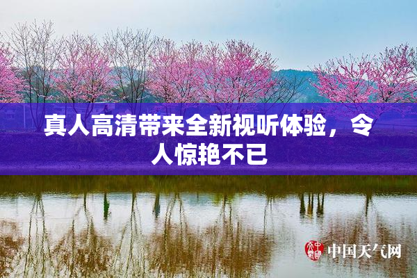 真人高清带来全新视听体验，令人惊艳不已