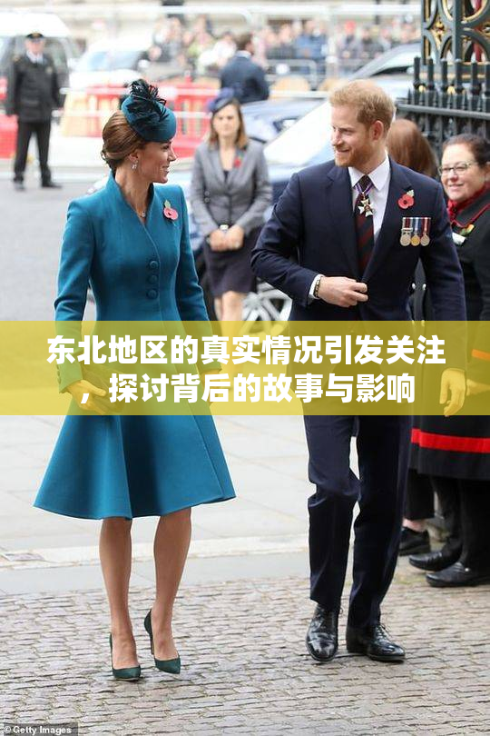 东北地区的真实情况引发关注，探讨背后的故事与影响