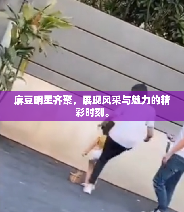 麻豆明星齐聚，展现风采与魅力的精彩时刻。