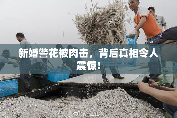 新婚警花被肉击，背后真相令人震惊！
