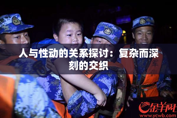 人与性动的关系探讨：复杂而深刻的交织