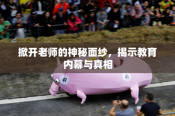 掀开老师的神秘面纱，揭示教育内幕与真相