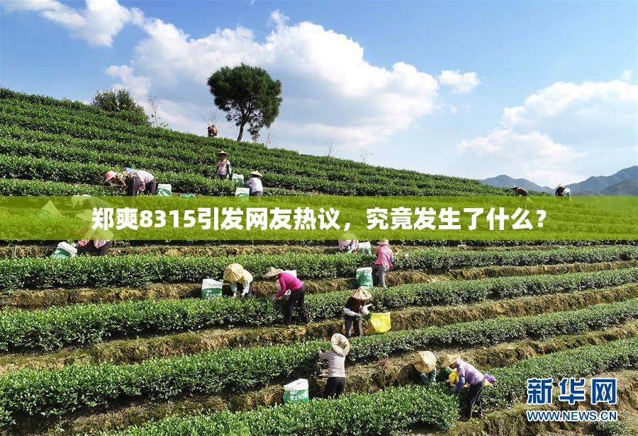 郑爽8315引发网友热议，究竟发生了什么？