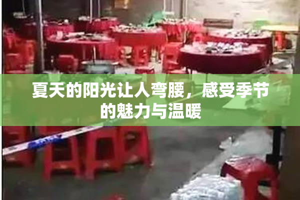 夏天的阳光让人弯腰，感受季节的魅力与温暖
