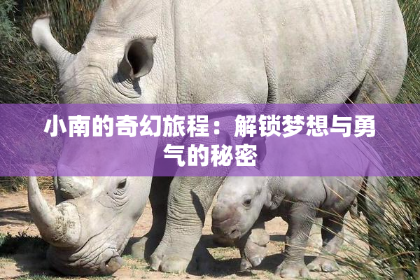 小南的奇幻旅程：解锁梦想与勇气的秘密