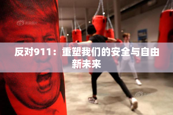 反对911：重塑我们的安全与自由新未来