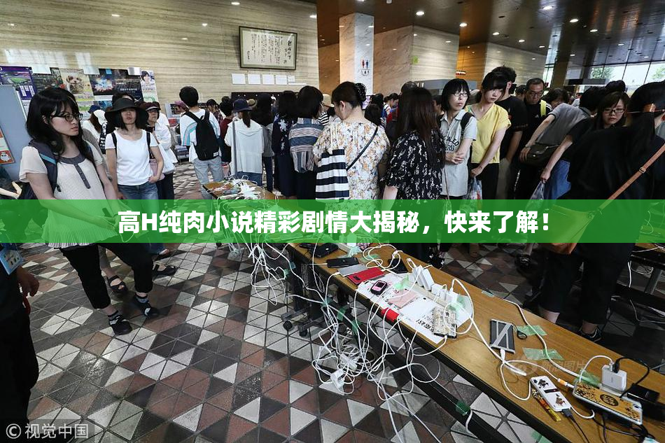 高H纯肉小说精彩剧情大揭秘，快来了解！
