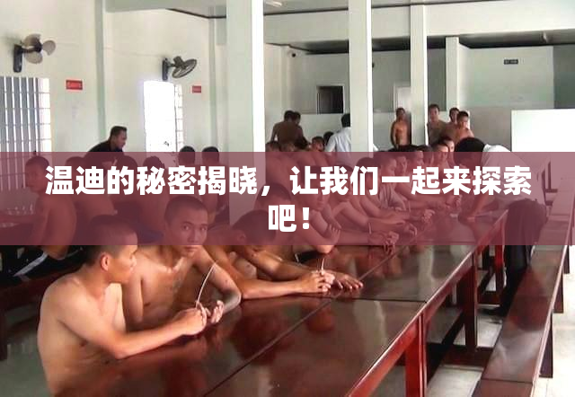 温迪的秘密揭晓，让我们一起来探索吧！