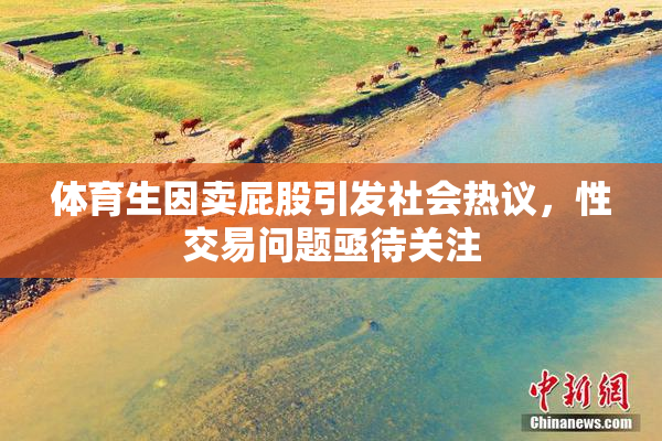 体育生因卖屁股引发社会热议，性交易问题亟待关注