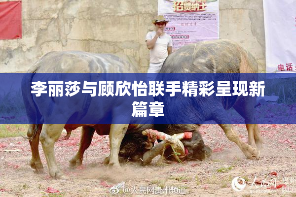 李丽莎与顾欣怡联手精彩呈现新篇章